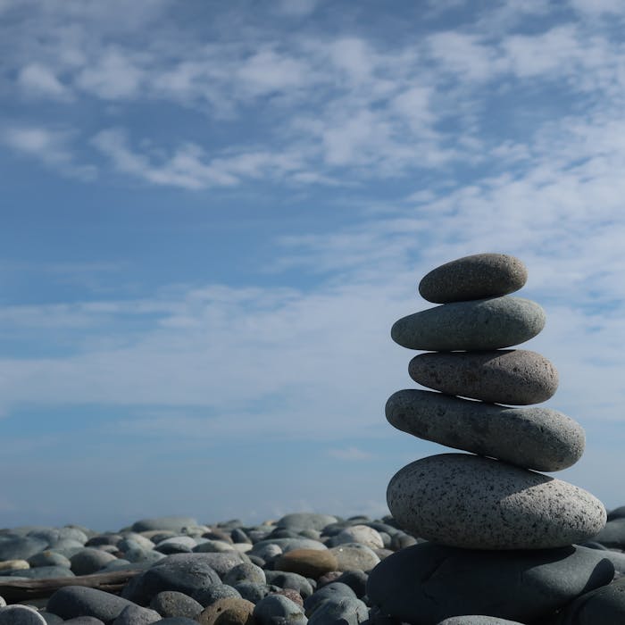 pexels-photo-33689336